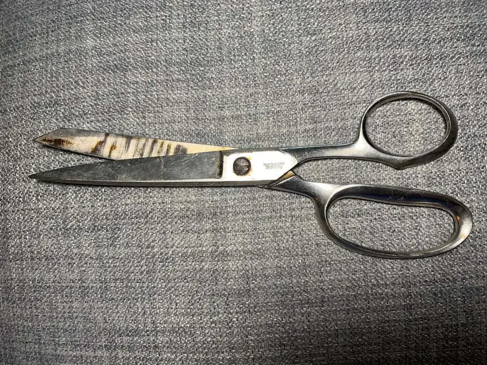 Antique Shears Scissors